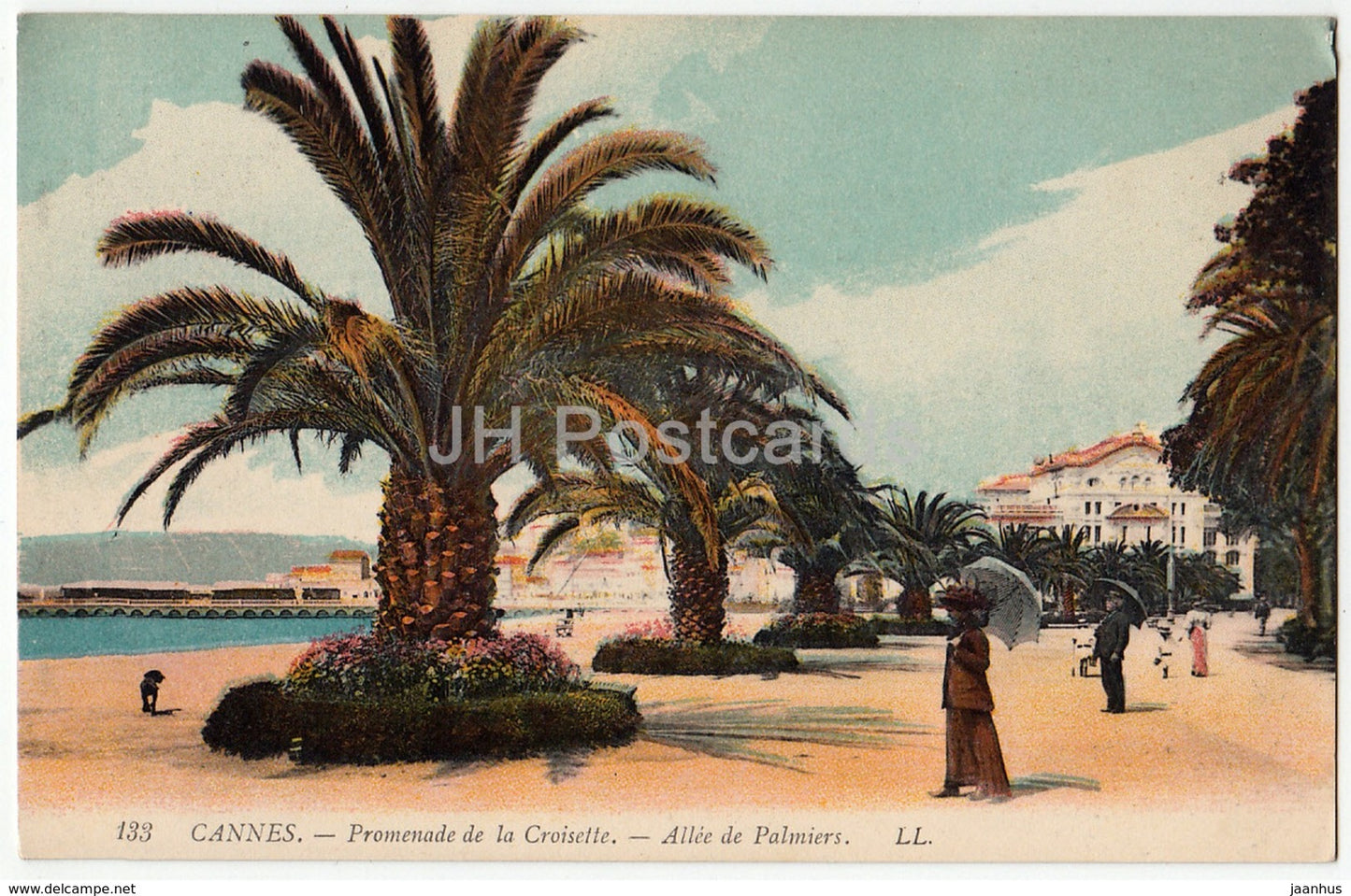 Cannes - Promenade de la Croisette - Allee de Palmiers - 133 - old postcard - France - unused - JH Postcards