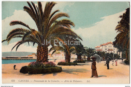 Cannes - Promenade de la Croisette - Allee de Palmiers - 133 - old postcard - France - unused - JH Postcards
