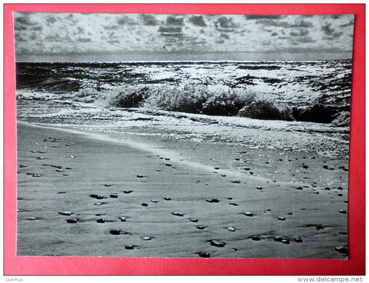 The Baltic Sea - Palanga - 1966 - Lithuania USSR - unused - JH Postcards