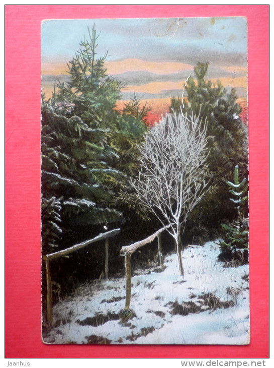 illustration - nature - landscape - winter - BSW - 11-14 - circulated in Estonia Imperial Russia 1914 - JH Postcards