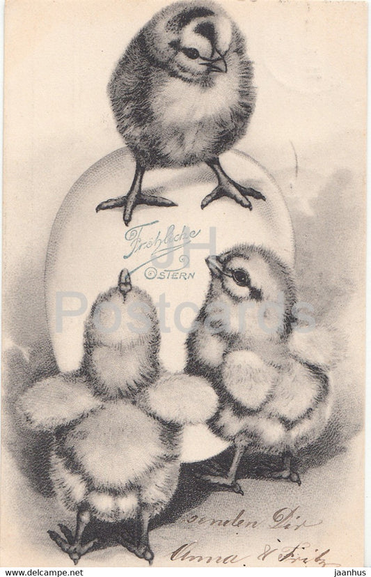 Easter Greeting Card - Frohliche Ostern - egg - chicken - old postcard - 1903 - Germany - used - JH Postcards