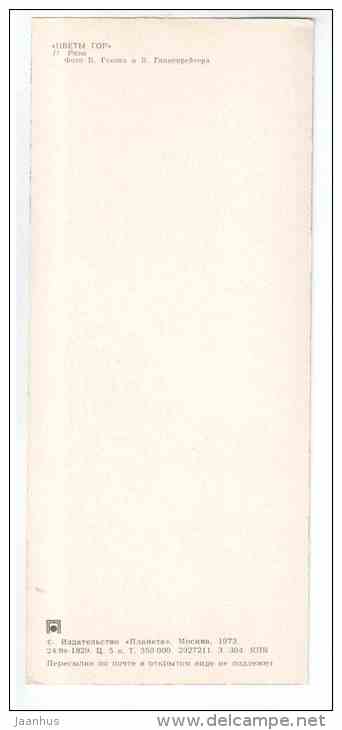 Roses - house - Mountain Flowers - 1973 - Russia USSR - unused - JH Postcards