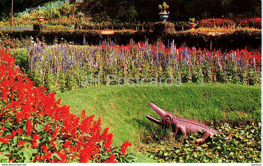 Ooty - Botanical Gardens - Crocodile Tank - India - unused - JH Postcards
