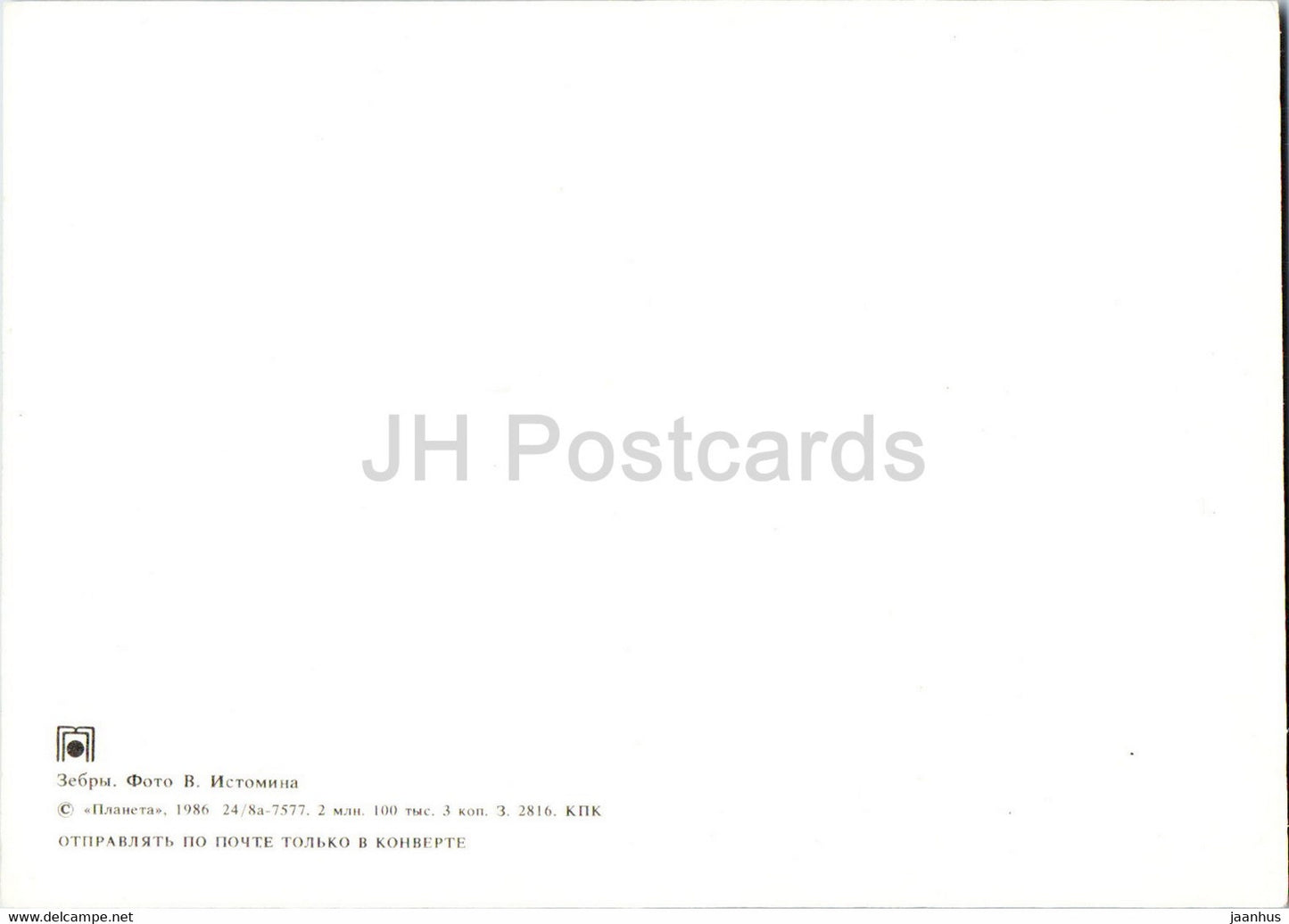 Zebra - animals - 1 - 1986 - Russia USSR - unused