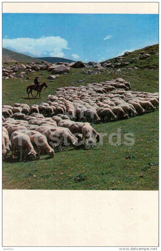 Jailoo - sheep - horse - shepherd - 1974 - Kyrgyzstan USSR - unused - JH Postcards