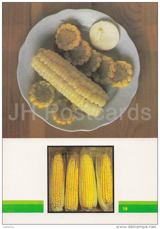 Boiled Corn - Vegetable Dishes - recipes - 1990 - Russia USSR - unused - JH Postcards