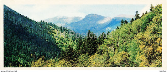 landscape - Caucasian Nature Reserve - 1980 - Russia USSR - unused - JH Postcards