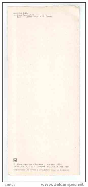 Vicia - Mountain Flowers - 1973 - Russia USSR - unused - JH Postcards