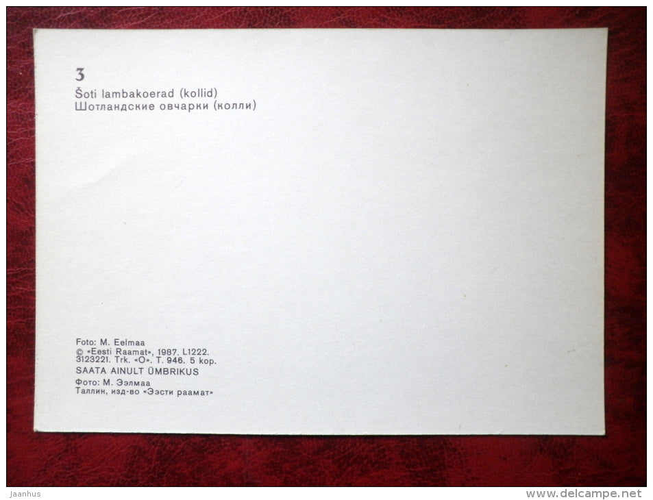 Scotch Collie - Scottish Shepherds - dogs - 1987 - Estonia - USSR - unused - JH Postcards