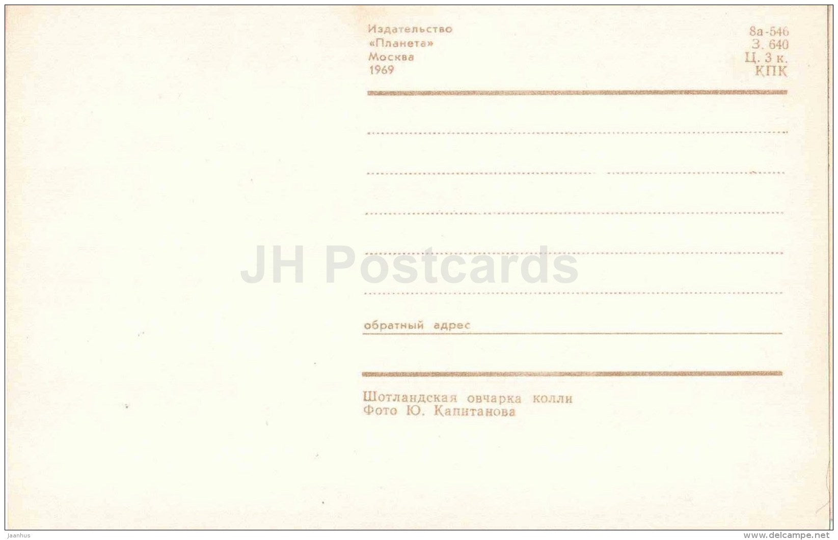 Scottish Shepherd Dog - Collie - dog - 1969 - Russia USSR - unused - JH Postcards