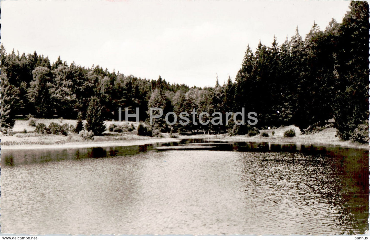 Neuhaus im Solling - Lakenhaus Teich - old postcard - 1958 - Germany - used - JH Postcards