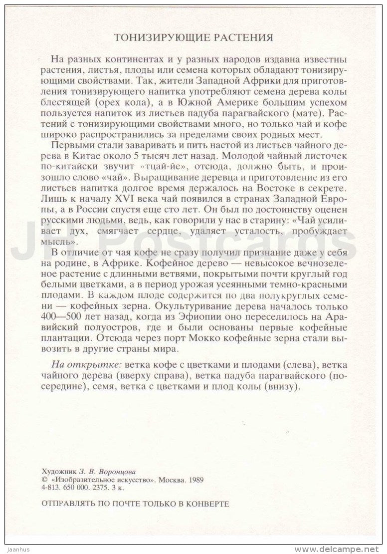 cola - Yerba mate - tea - coffee - Amazing Plants - 1989 - Russia USSR - unused - JH Postcards