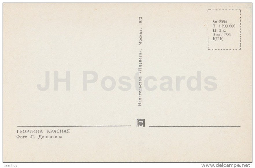 Red Dahlia - flowers - 1972 - Russia USSR - unused - JH Postcards
