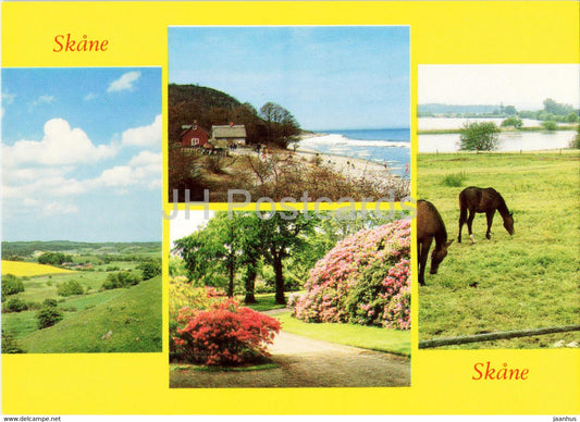 Skane - Vombsjon - Stenshuvud - horse - multiview - 167 - Sweden - unused - JH Postcards