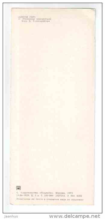 Aetheopappus caucasicus - Mountain Flowers - 1973 - Russia USSR - unused - JH Postcards