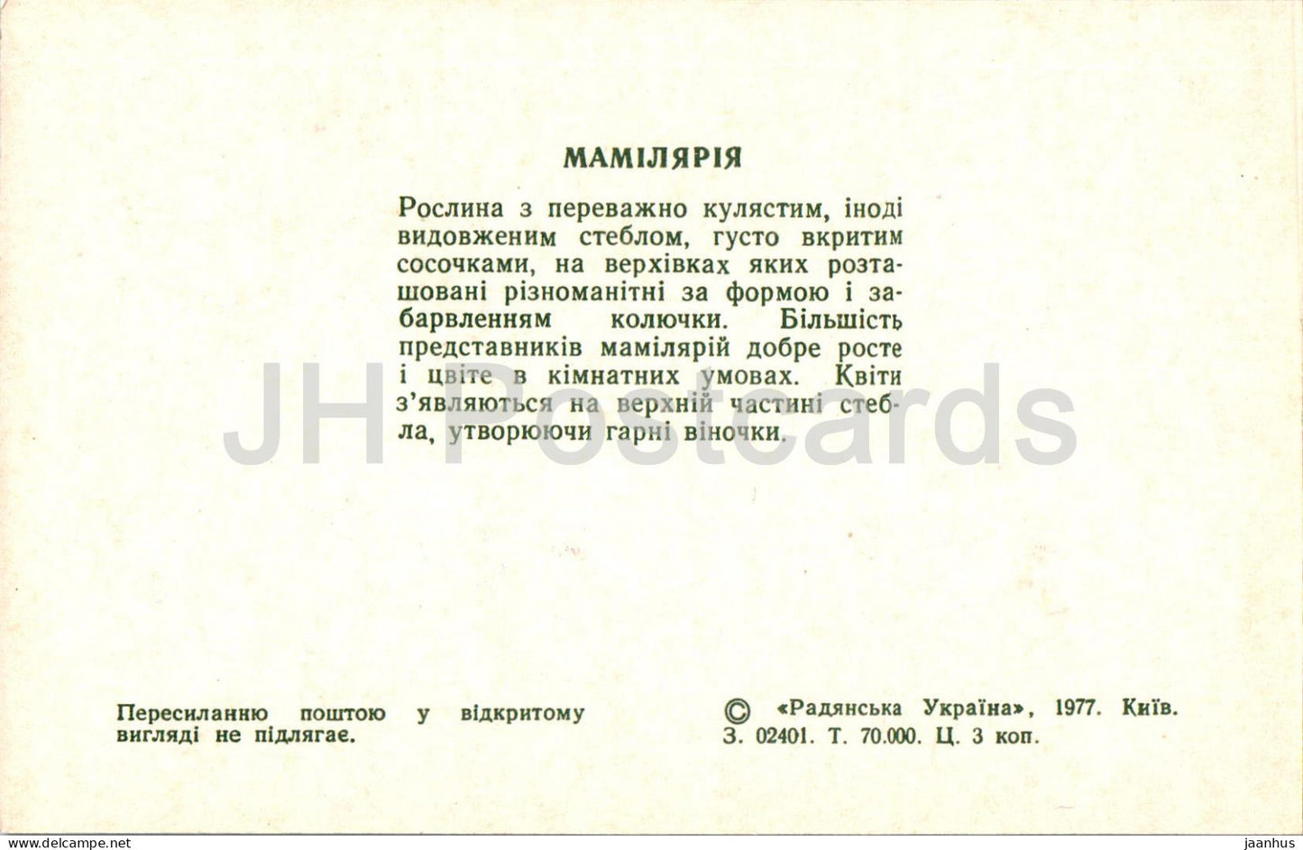 Mammillaria - cacti - cactus - flowers - 1977 - Ukraine USSR - unused