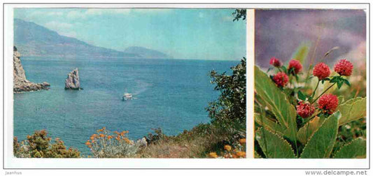Clover - boat - Mountain Flowers - 1973 - Russia USSR - unused - JH Postcards