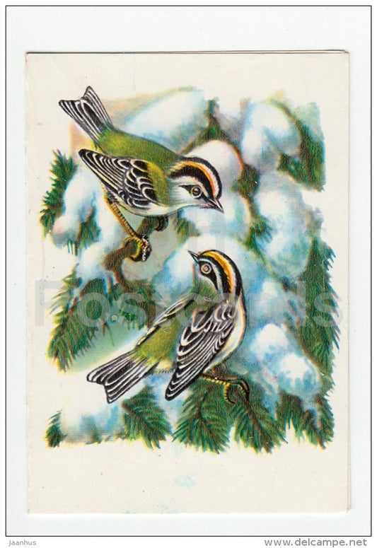 New Year greeting card by I. Orlova - birds - tit - 1983 - Russia USSR - used - JH Postcards