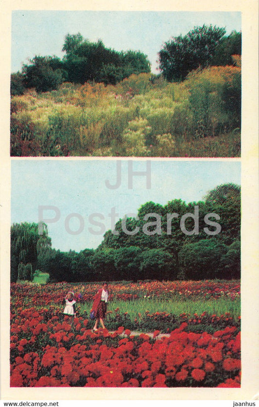 Central State Botanical Garden of Ukraine SSR - Steppe corner - Dahlia - flowers - 1978 - Ukraine USSR - unused - JH Postcards