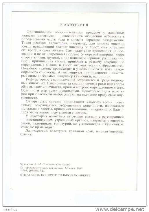 Green Lizard - Carcinus aestuarii - Sea cucumber - autotomy - Animals defend themselves - 1988 - Russia USSR - unused - JH Postcards