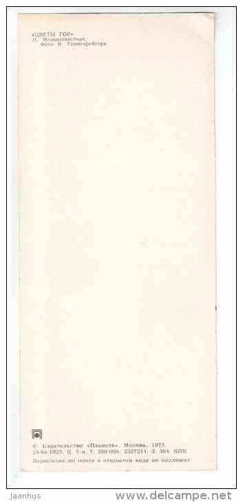 Erigeron - lake - Mountain Flowers - 1973 - Russia USSR - unused - JH Postcards