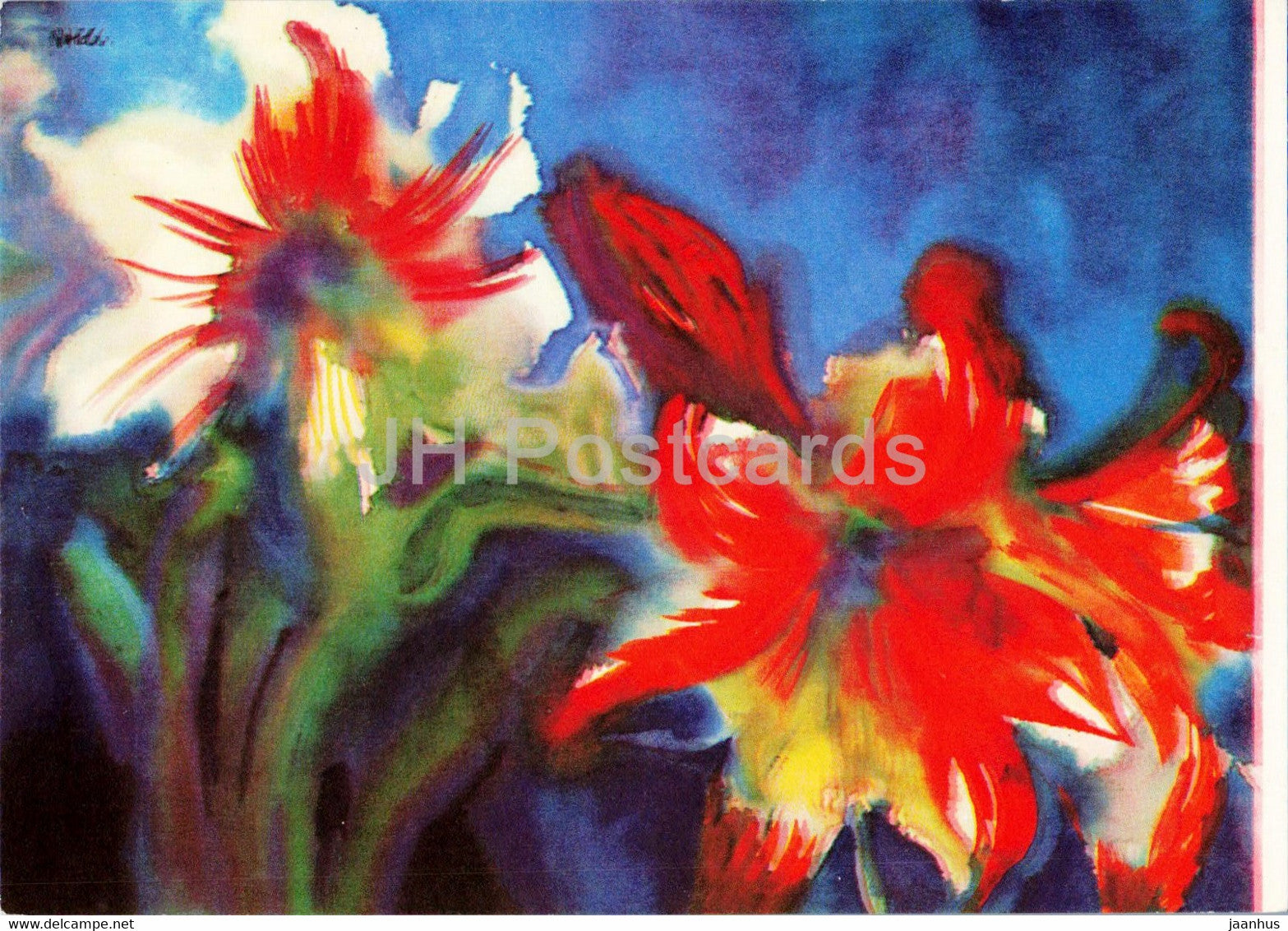 painting by Emil Nolde - Weisse und Rote Amaryllis - White and Red amaryllises - German art - Germany - unused - JH Postcards