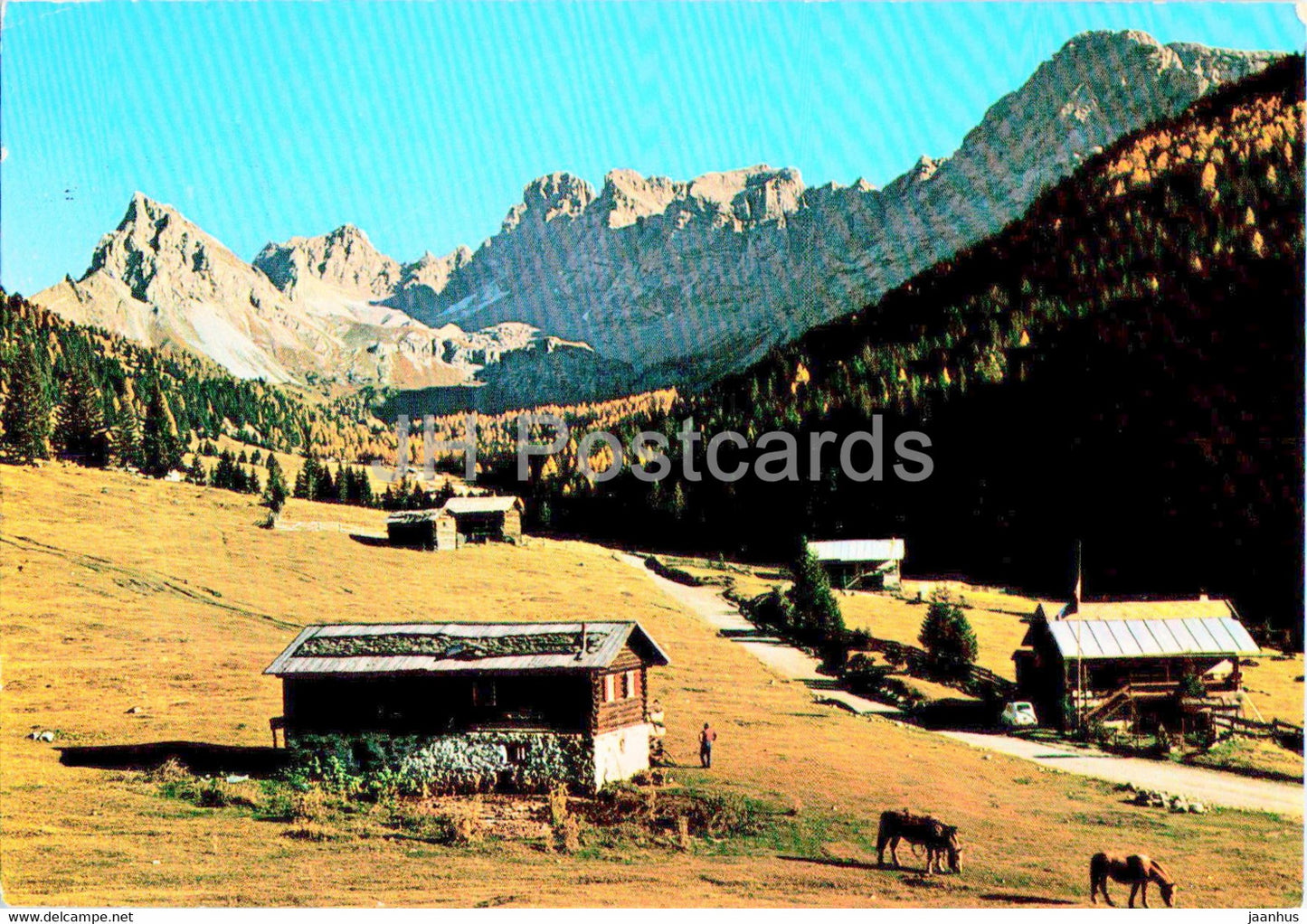 Dolomiti - Pozza di Fassa - Valle di S Nicolo - 1979 - Italy - used - JH Postcards