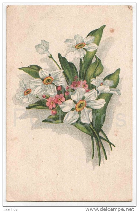 Greeting Card - Narcissus - flowers - KJ Tartu 1 - old postcard - circulated in Estonia - JH Postcards