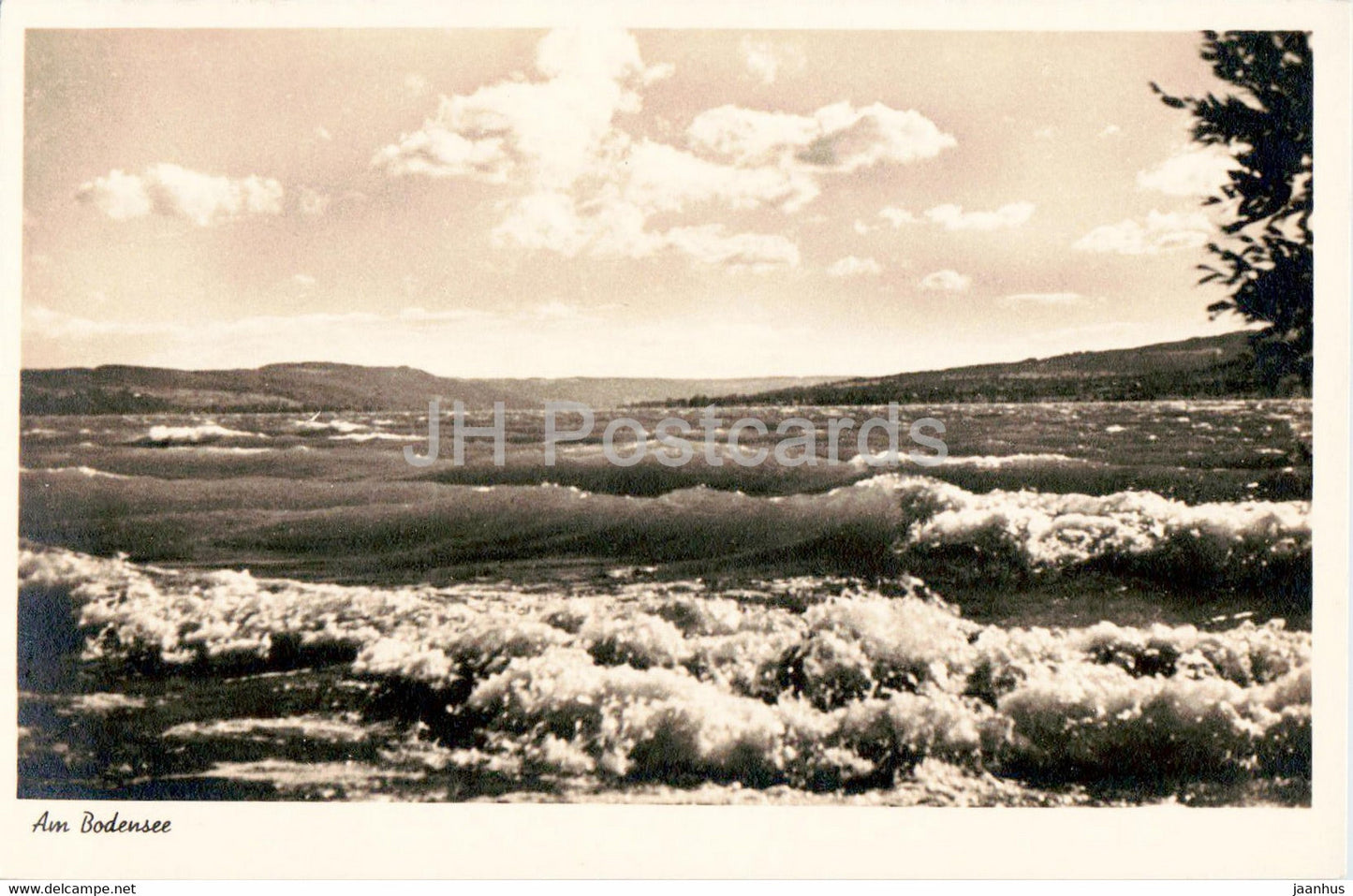 Am Bodensee - 12857 - old postcard - Germany - unused - JH Postcards