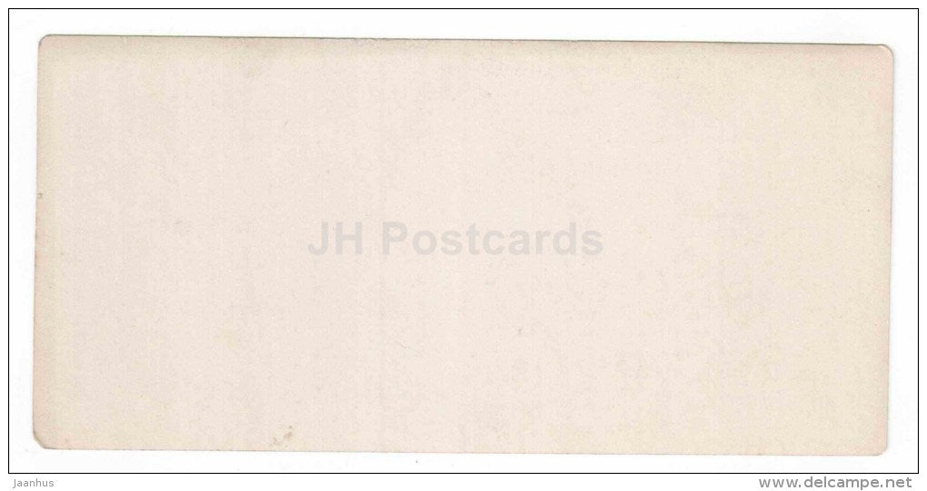 Cairo - corn field - Egypt - stereo photo - stereoscopique - old photo - JH Postcards