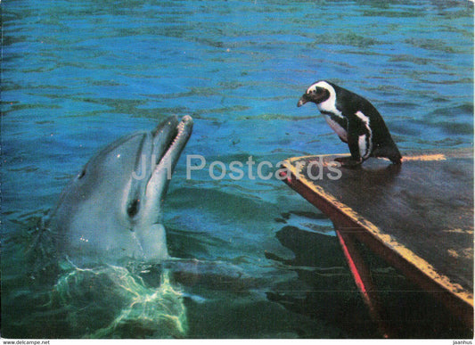 Batumi Dolphinarium - dolphin - African penguin - Spheniscus demersus - 1980 - Georgia USSR - unused - JH Postcards