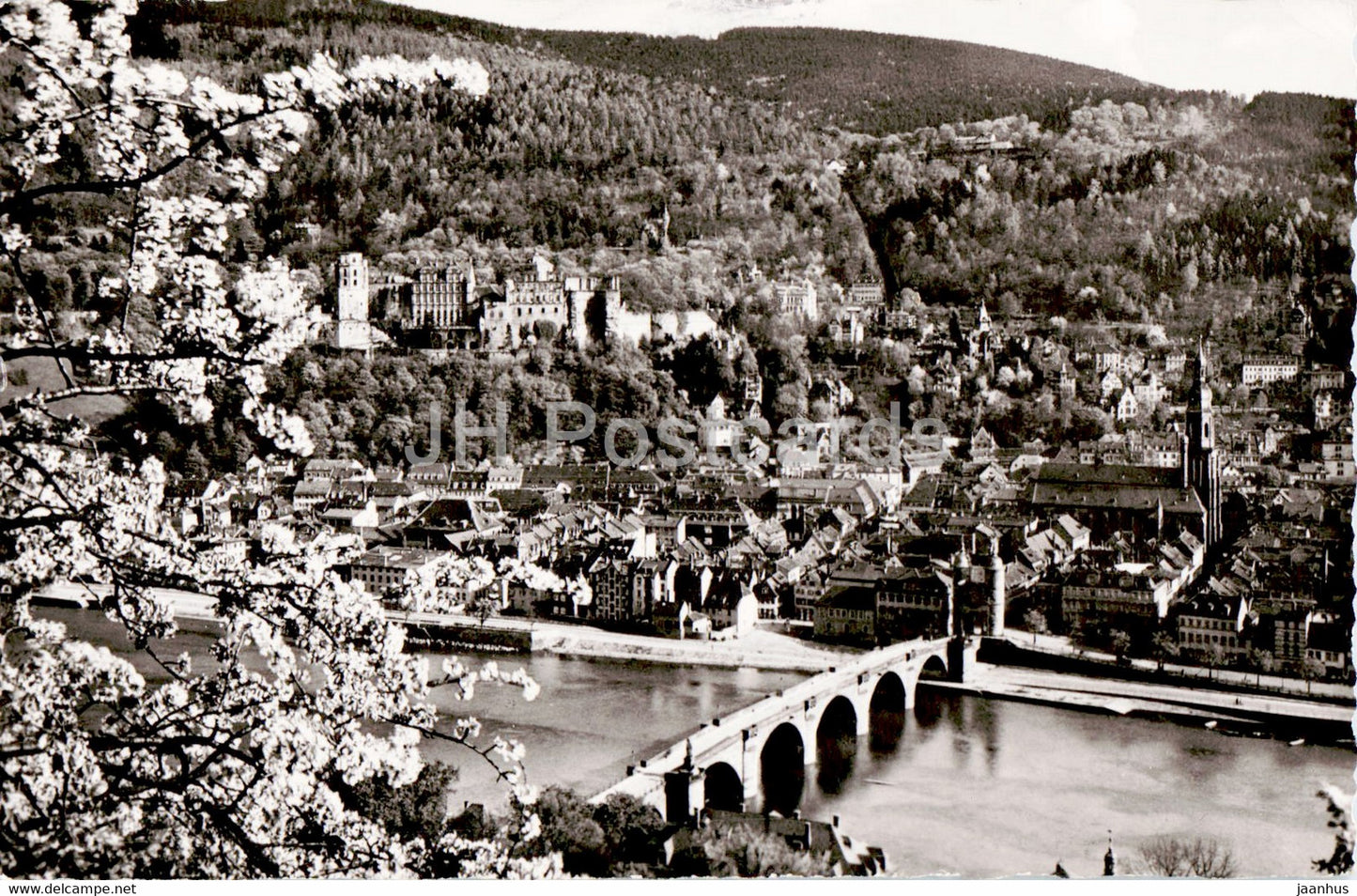 Fruhling in Heidelberg - Blick vom Philosophenweg - old postcard - 1958 - Germany - used - JH Postcards