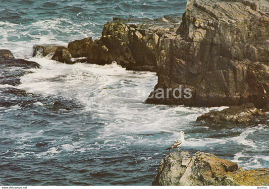 Black Sea Coast - 1978 - Bulgaria - used - JH Postcards