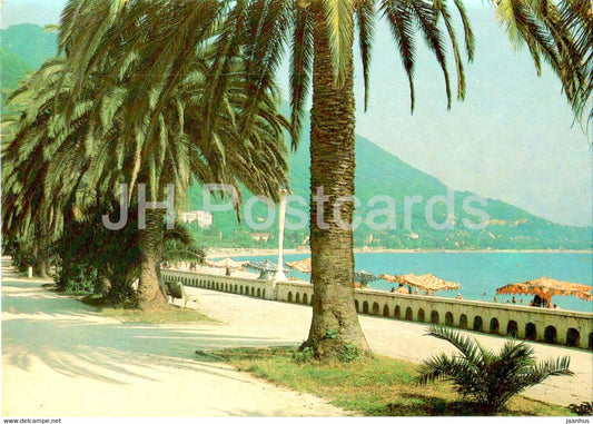 Gagra - embankment - Abkhazia - postal stationery - 1984 - Georgia USSR - unused - JH Postcards