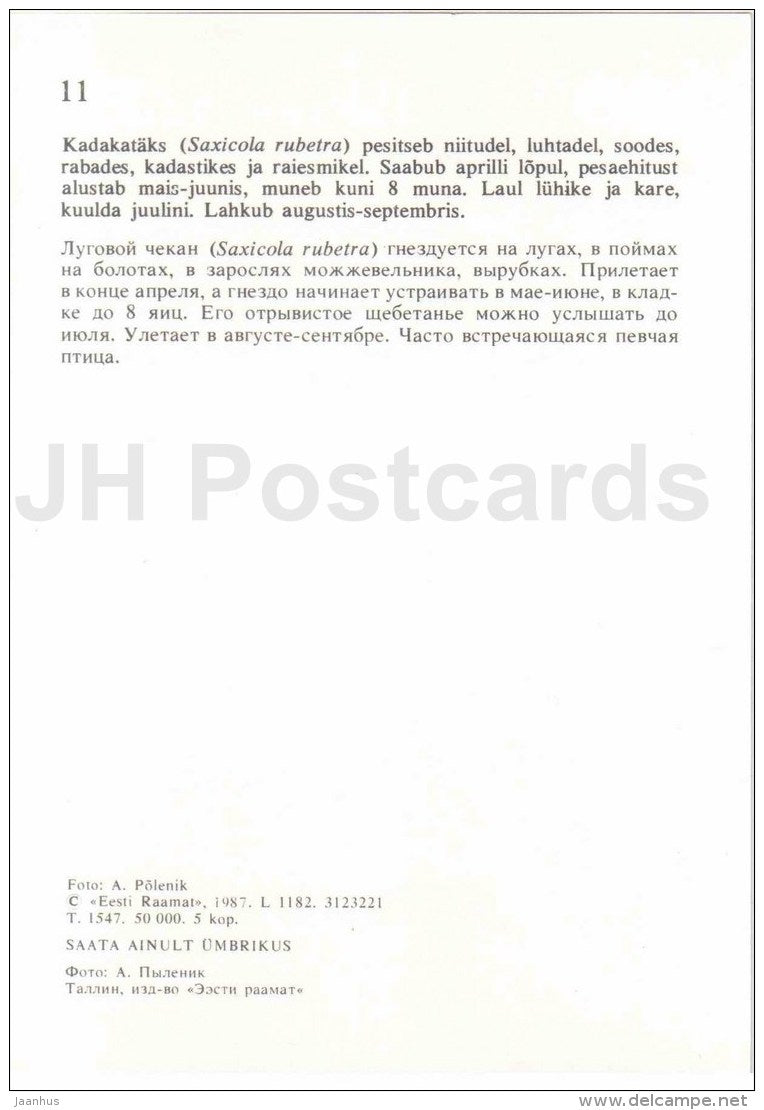 Whinchat - Saxicola rubetra - bird - Estonian Birds - 1987 - Estonia USSR - unused - JH Postcards