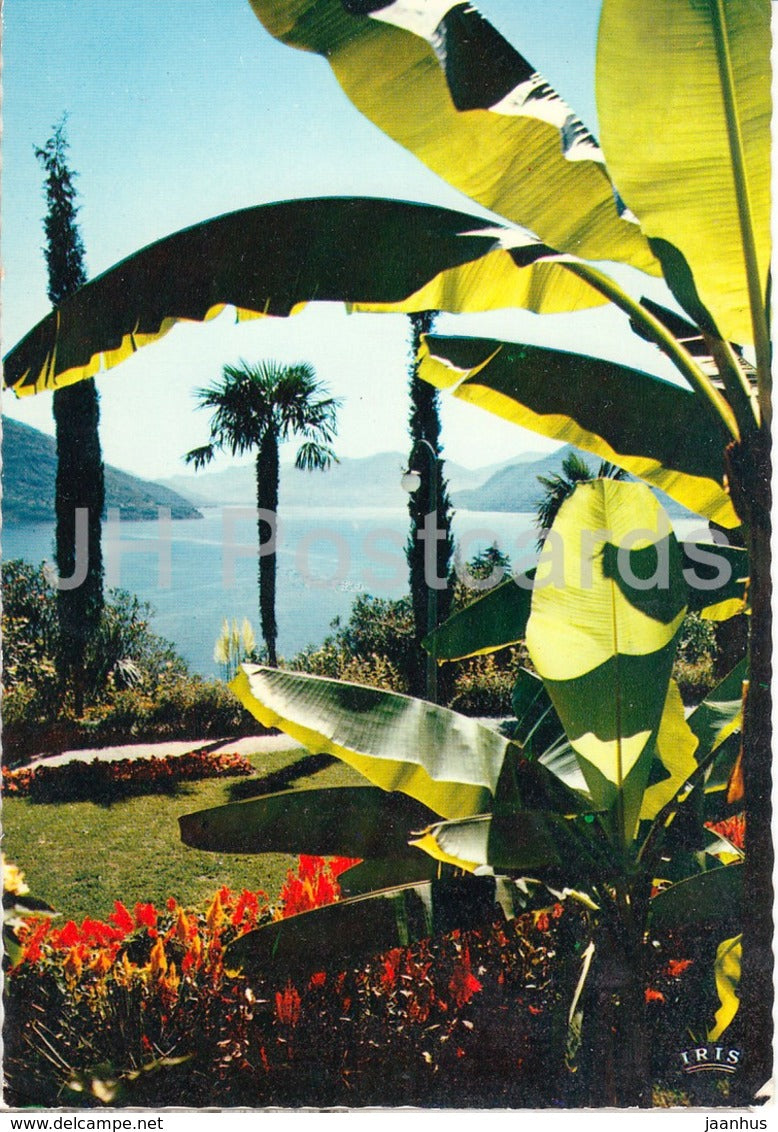 Motivo sur Lago Maggiore - 1975 - Italy - used - JH Postcards