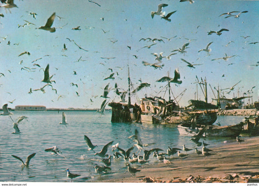 Figueira da Foz - Gaivotas em Terra - Sea Gulls on the Ground - fishing boat - 1978 - Portugal - used - JH Postcards