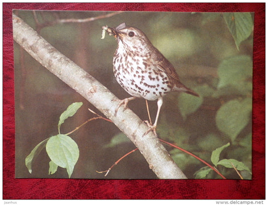 Song Thrush - Turdus philomelos - birds - 1987 - Estonia - USSR - used - JH Postcards