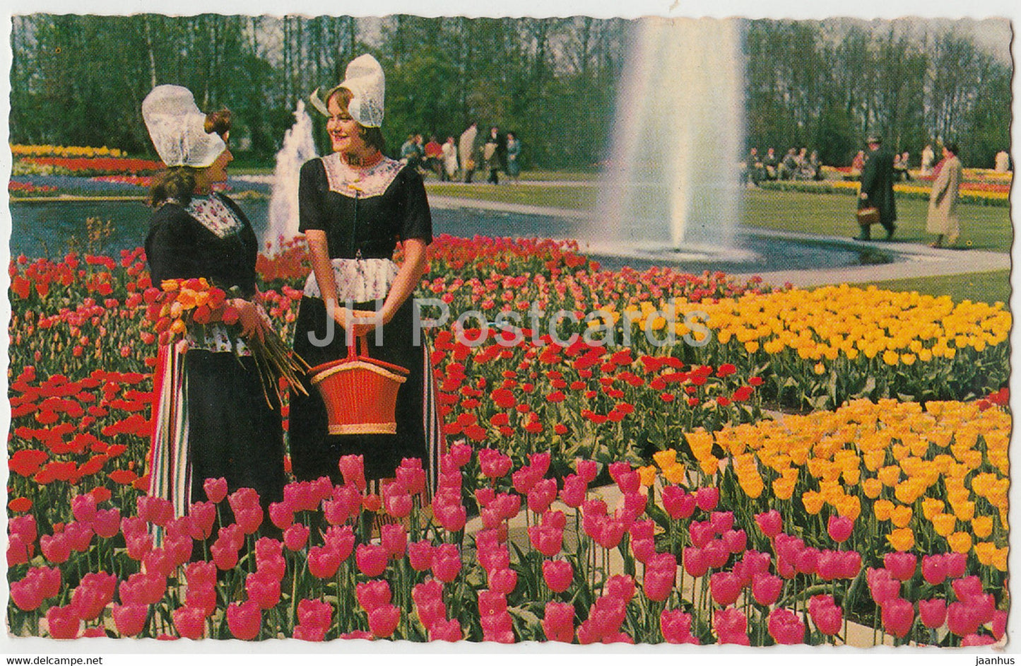 Holland in Bloementooi - Holland in Flowerdecoration - Folk Costumes - Netherlands - used - JH Postcards