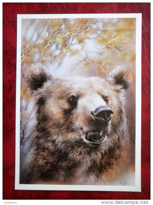 Brown bear by A. Isakov - Ursus arctos - animals - 1989 - Russia - USSR - unused - JH Postcards