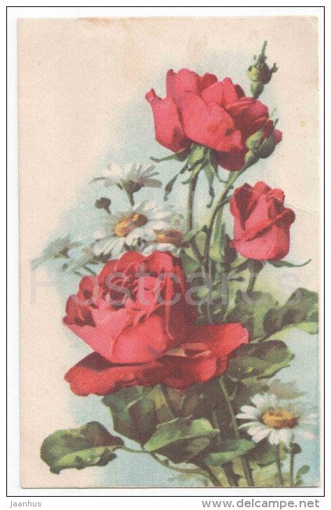 Greeting Card - Red Roses - Anthemis - flowers - old postcard - circulated in Estonia - JH Postcards