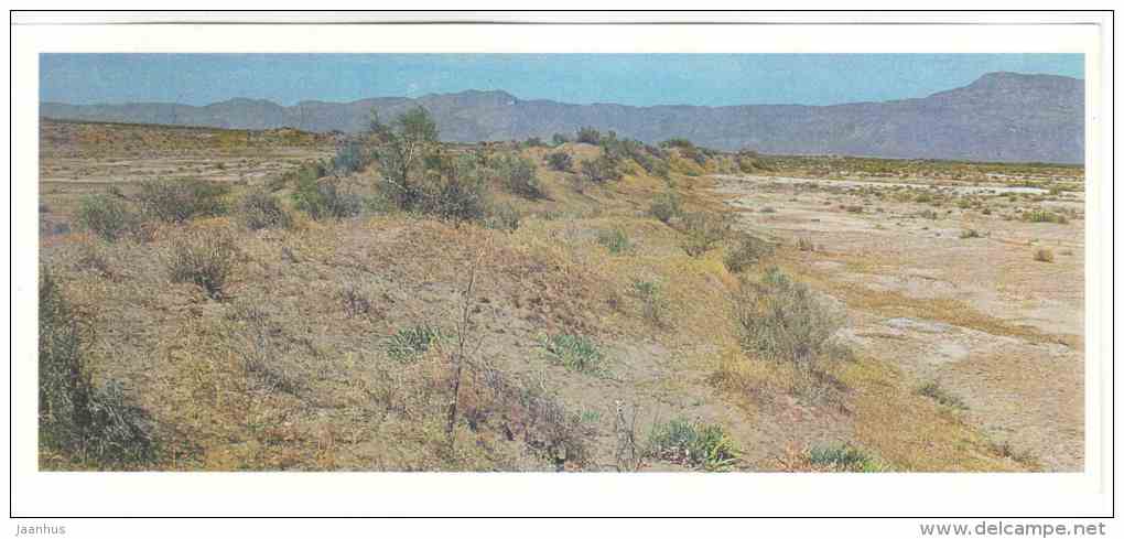Dunes - Tigrovaya Balka Nature Reserve - 1983 - Russia USSR - unused - JH Postcards