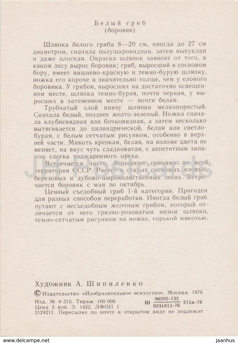 Boletus - Leccinum - illustration by A. Shipilenko - Mushrooms - 1976 - Russia USSR - unused - JH Postcards