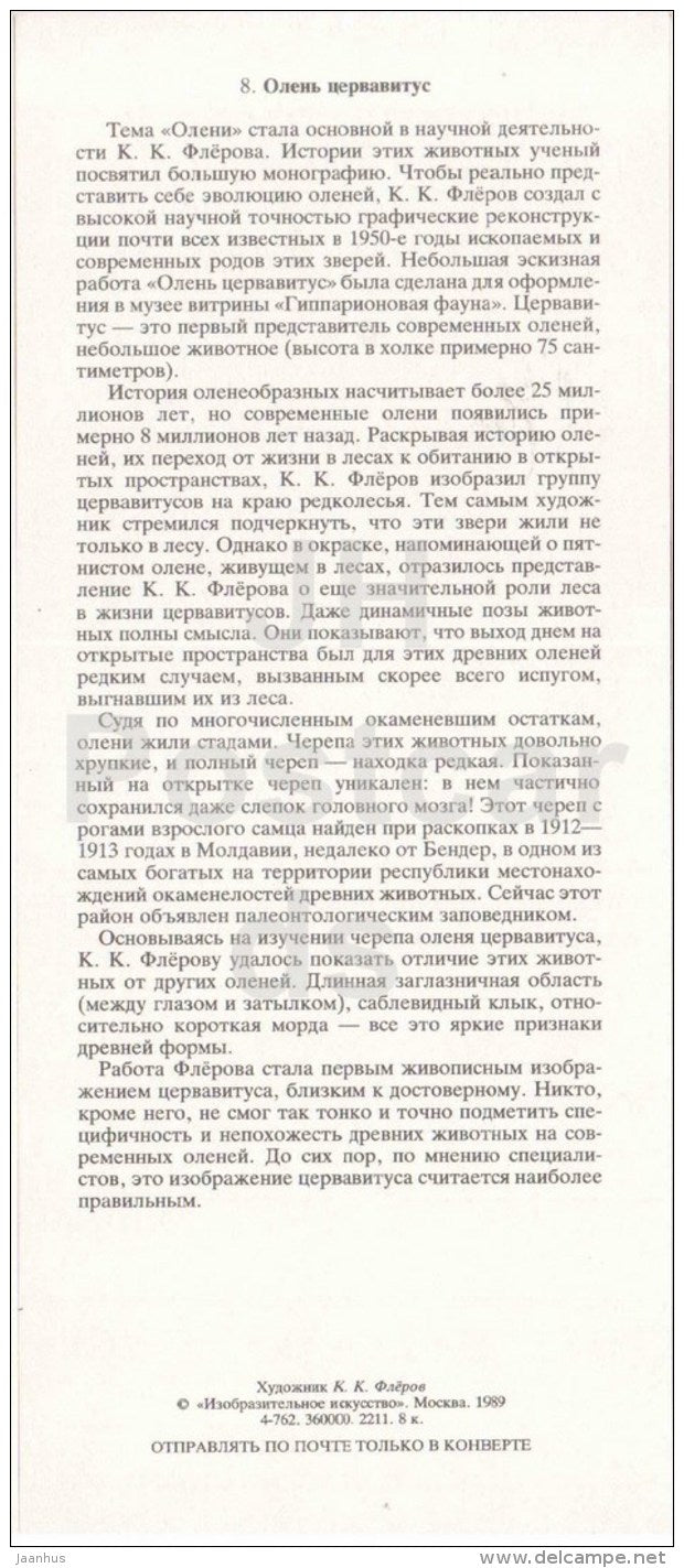 Cervavitus variabilis - deer - skull - illustration by Flerov - paleontology - 1989 - Russia USSR - unused - JH Postcards