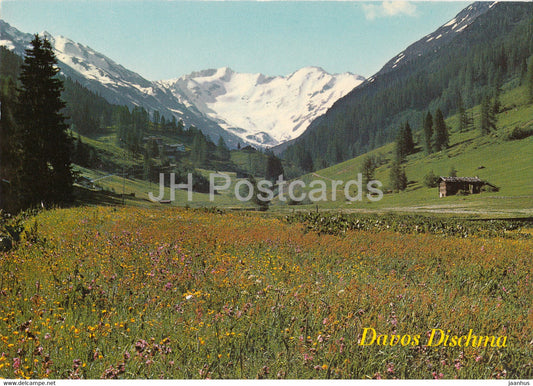 Davos Dischma - Dischmatal - Piz Grialetsch - Scalettahorn - 868 - 1978 - Switzerland - used - JH Postcards