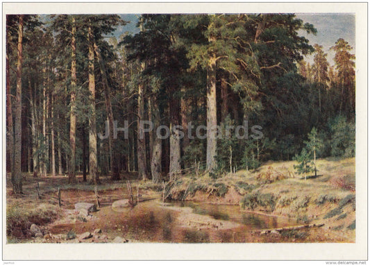 painting by I. Shishkin - Ship Grove , 1898 - pine forest - Russian art - 1958 - Russia USSR - unused - JH Postcards
