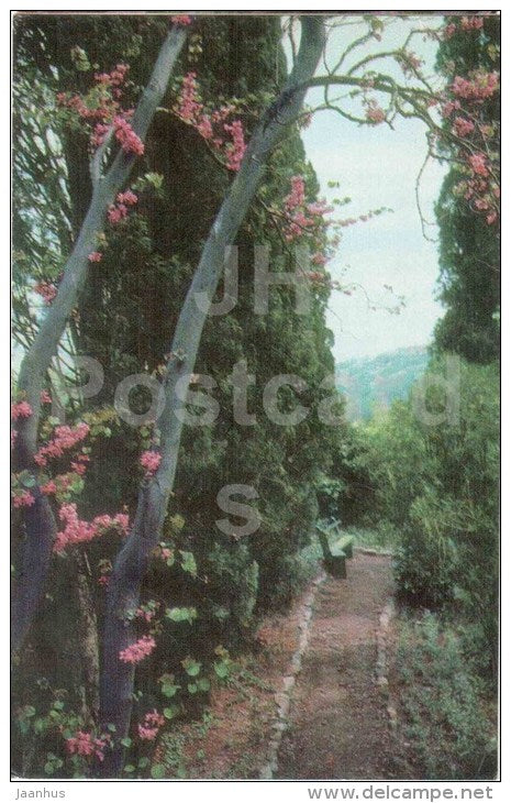 corner of the garden - Gorky´s bench - Chekhov House Museum - Yalta - 1974 - Ukraine USSR - unused - JH Postcards