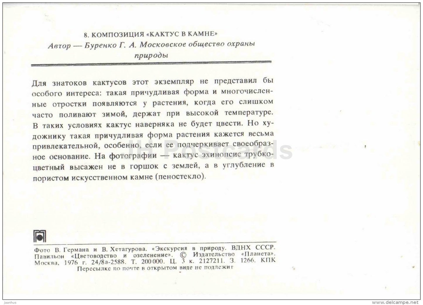 composition Cactus in the Stone - flowers - floriculture and gardening pavilion - 1976 - Russia USSR - unused - JH Postcards