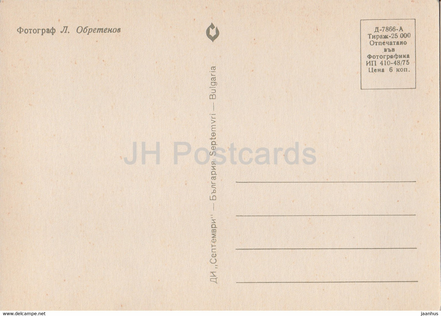 Rose jaune - fleurs - plantes - Bulgarie - inutilisée