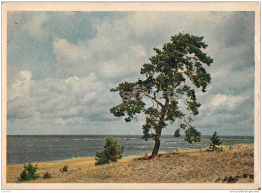 Pärnu Bay Beach - 1955 - Estonia USSR - unused - JH Postcards